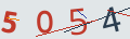 verifycode